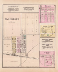 Bloomdale Blake Cygnet, Ohio 1886 - Wood Co. 5