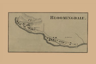 Bloomingdale - Pompton, New Jersey 1861 Old Town Map Custom Print - Bergen & Passaic Co.