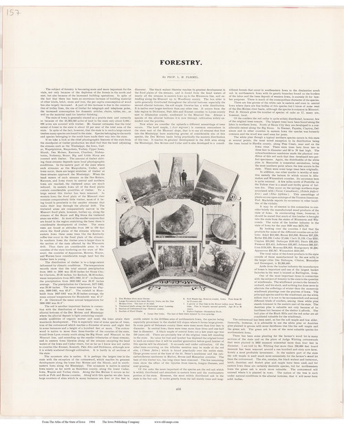 Forestry, Iowa 1904 Iowa State Atlas 157 OLD MAPS