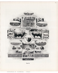 Farm, Iowa 1904 - Iowa State Atlas  186