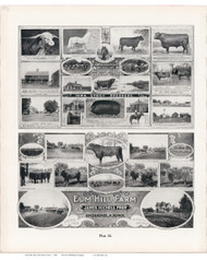 Farm, Iowa 1904 - Iowa State Atlas  195