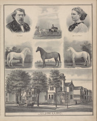 Residence of Professor O.S. Pratt #037, New York 1876 Old Map Reprint - Genesee Co.