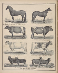 Livestock #060, New York 1876 Old Map Reprint - Genesee Co.