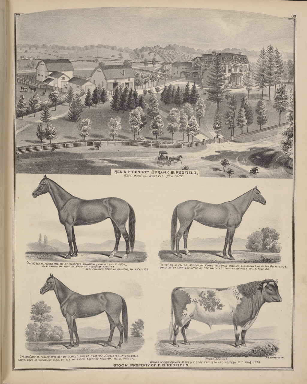 Property of Frank Redfield 062, New York 1876 Old Map Reprint
