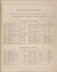 Business Directories #137, New York 1876 Old Map Reprint - Genesee Co.