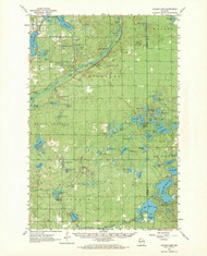 Ellison Lake, Wisconsin 1961 (1971) USGS Old Topo Map Reprint 15x15 WI Quad 801544