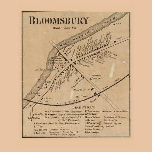 Bloomsbury Village, New Jersey 1860 Old Town Map Custom Print