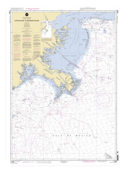 Approaches to Mississippi River 2006 - Old Map Nautical Chart AC Harbors 11366 - Louisiana