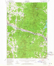 Camels Hump, Vermont 1948 (1967) USGS Old Topo Map Reprint 15x15 VT Quad 337909