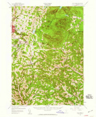 East Barre, Vermont 1957 (1959) USGS Old Topo Map Reprint 15x15 VT Quad 337928