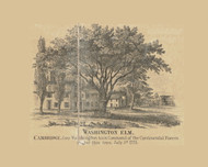 Washington Elm,  Massachusetts 1856 Old Town Map Custom Print - Middlesex Co.