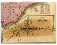 Princeton (Downtown), New Jersey 1849 Old Town Map Custom Print - Mercer Co.