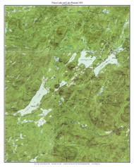 Piseco Lake and Lake Pleasant 1954 - Custom USGS Old Topo Map - New York - Adirondack Lakes