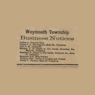 Weymouth Township Business Notices, New Jersey 1872 Old Town Map Custom Print - Atlantic Co.