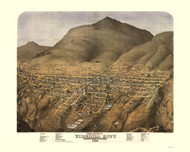 Virginia City, Nevada 1875 Bird's Eye View
