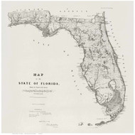 Florida 1859 Westcott - Old State Map Reprint