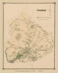 Waltham, Massachusetts 1875 Old Town Map Reprint - Middlesex Co.