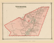 Winchester, Massachusetts 1875 Old Town Map Reprint - Middlesex Co.