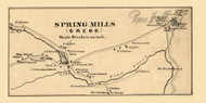 Spring Mills Village  Gregg Township, Pennsylvania 1861 Old Town Map Custom Print - Centre Co.