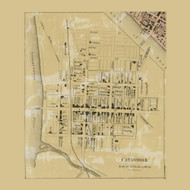 Catawissa Village, Pennsylvania 1860 Old Town Map Custom Print - Columbia Co.