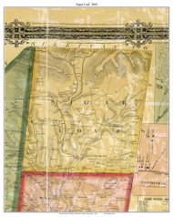 Sugar Loaf Township, Pennsylvania 1860 Old Town Map Custom Print - Columbia Co.
