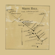 White Hall Village, Anthony Township, Pennsylvania 1860 Old Town Map Custom Print - Montour Co.