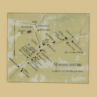 Mooresburg Village, Liberty Township, Pennsylvania 1860 Old Town Map Custom Print - Montour Co.