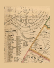 Saltsburg Village, Conemaugh Township, Pennsylvania 1856 Old Town Map Custom Print - Indiana Co.