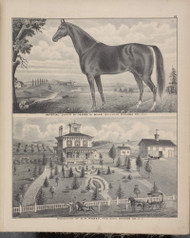 Residence of E.H. Rainey 81, New York 1875 - Old Town Map Reprint - Orange Co. Atlas