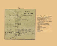 Port Allegheny, Liberty Township, Pennsylvania 1871 Old Town Map Custom Print - McKean Co.