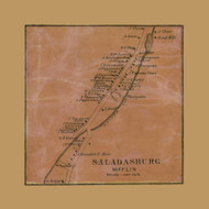 Saladasburg Village, Mifflin Township, Pennsylvania 1861 Old Town Map Custom Print - Lycoming Co.