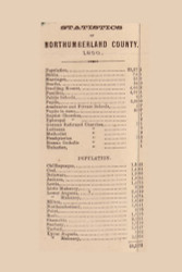 Northumberland County Statistics, Pennsylvania 1858 Old Town Map Custom Print - Northumberland Co.