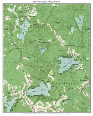 Wash Pond, Angle Pond, and Phillips Pond 1981 - Custom USGS Old Topo Map - New Hampshire - South East