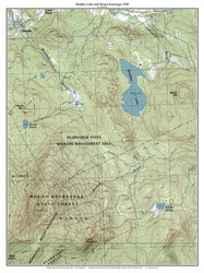 Bradley Lake and Mt Kearsarge 1998 - Custom USGS Old Topo Map - New Hampshire - Frank-Henn