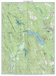 Lake Winnepocket 2000 - Custom USGS Old Topo Map - New Hampshire - Frank-Henn