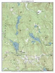 Todd Lake and Blaisdell Lake 1998 - Custom USGS Old Topo Map - New Hampshire - Frank-Henn