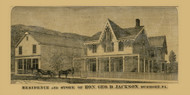 Residence and Store of G. D. Jackson, Pennsylvania 1872 Old Town Map Custom Print - Sullivan Co.