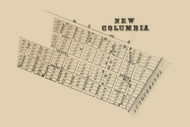 New Colum Village, White Deer Township, Pennsylvania 1856 Old Town Map Custom Print - Union Co.