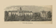 Univeristy in Lewisburg Township, Pennsylvania 1856 Old Town Map Custom Print - Union Co.