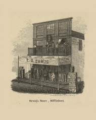 Orwig's Store Township, Pennsylvania 1856 Old Town Map Custom Print - Union Co.