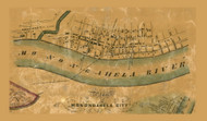 Monongahela City, Carroll Township, Pennsylvania 1856 Old Town Map Custom Print - Washington Co.