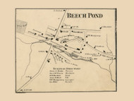 Beech Pond Village, Berlin Township, Pennsylvania 1860 Old Town Map Custom Print - Wayne Co.