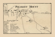 Pleasant Mount Village, Mount Pleasant Township, Pennsylvania 1860 Old Town Map Custom Print - Wayne Co.