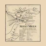 Seely Mills Village, Texas Township, Pennsylvania 1860 Old Town Map Custom Print - Wayne Co.