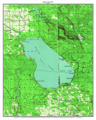 Black Lake 1957 - Custom USGS Old Topo Map - Michigan 2