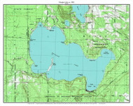 Douglas Lake 1982 - Custom USGS Old Topo Map - Michigan 2
