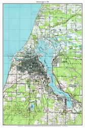 Manistee Lake 1982 - Custom USGS Old Topo Map - Michigan 1