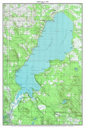 Mullett Lake 1982 - Custom USGS Old Topo Map - Michigan 2