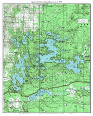 Spider Lake, Arbutus Lake and Rennie Lake 1985 - Custom USGS Old Topo Map - Michigan 2
