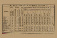 Wyoming County Statistics, Pennsylvania 1869 Old Town Map Custom Print - Wyoming Co.